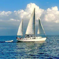 Cal Sailboats