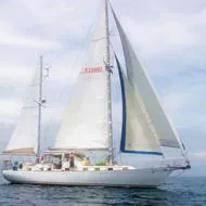 Cheoy Lee Sailboats