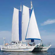 Wharram Sailboats